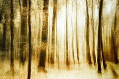 Ln104571902-Verschneiter Wald abstrakt