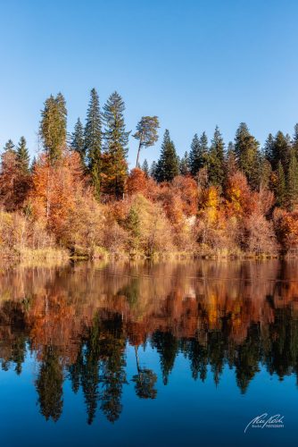 LBK710-9385-Herbstliche-Farbexplosion-beim-Crestasee