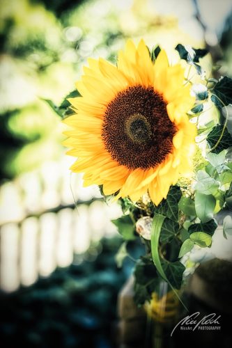 RBK909-03302-Blumenbouquet-mit-Sonnenblume