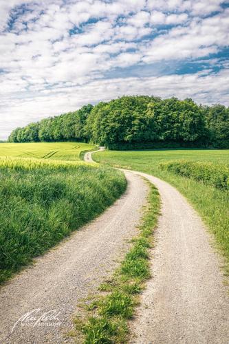 LBU005-06276-Geschlaengelter-Weg-zum-Wald