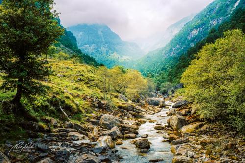 LBU006-07454-Im-steinigen-Flussbett-bei-Sonogno