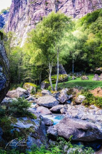 LBU009-08078-Urtuemliche-Landschaft-im-Val-Calnegia
