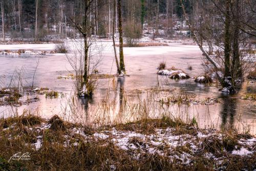 LBU101-00526-Cholmoos-Weiher-im-goldenen-Licht
