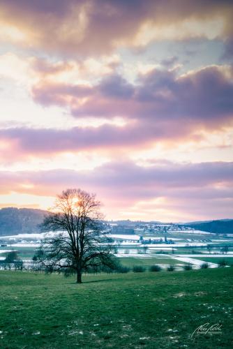 LBU101-00540-Winterliche-Abendstimmung