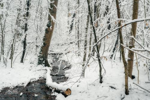 LBU101-00671-Kleiner-Bach-im-Winterwald