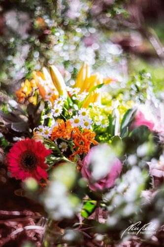 RBU003-05129-Blumenstrauss-im-Sonnenschein