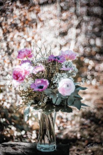 RBU103-09652-Blumenstrauss-vom-Licht-gekuesst