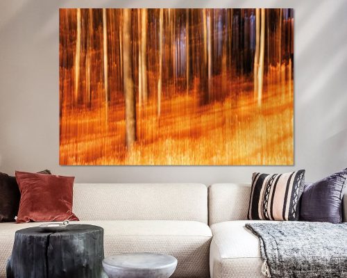 FTK511-3019-1984068-Herbstwald-im-goldenen-Sonnenschein-abstrakt