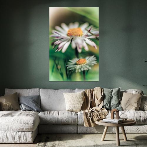 BPK804-0166-Art-Heroes-464492-Gnseblmchen-in-der-Frhlingssonne