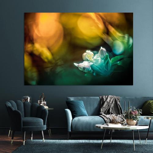 BPK804-0774-Art-Heroes-462958-Apfelblte-im-magischen-Licht