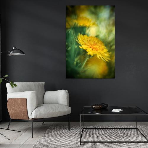 BPK804-0796-Art-Heroes-462992-Lwenzahnblten-in-der-Frhlingssonne