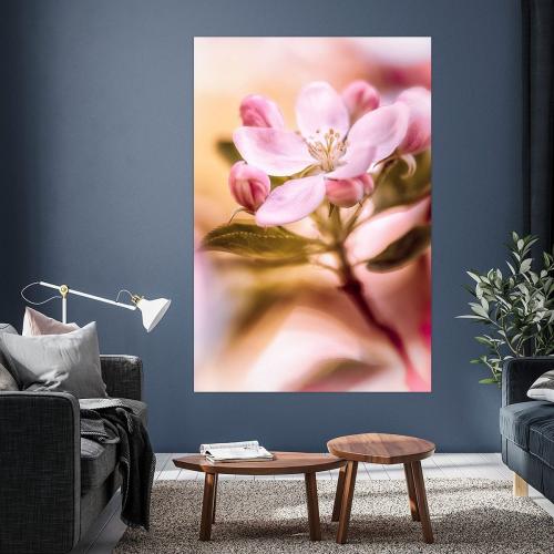 BPK804-1053-Art-Heroes-457567-Apfelblten-im-sanften-Frhlingslicht