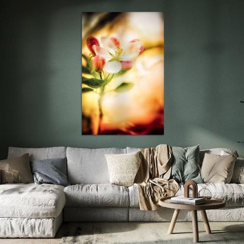 BPK804-1063-Art-Heroes-462969-Apfelbltenzauber