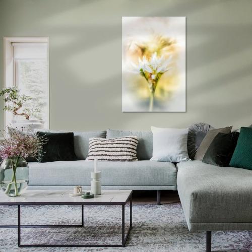 BPK805-1427-Art-Heroes-464234-Brlauchblten-im-hellen-Licht