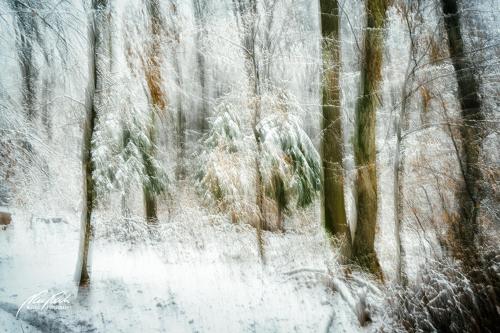 FTK902-04552-Winter-im-Wald-abstrakt
